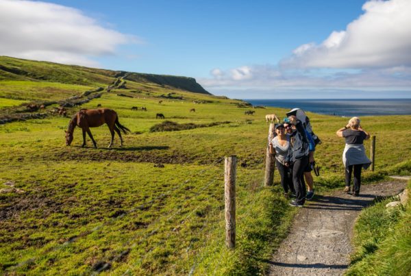 Group takes selfie on scenic coastal path in Ireland with horses in the background under sunny skies.