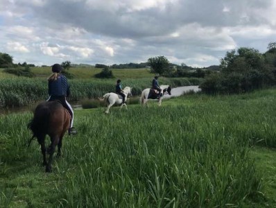 a person riding a horse in a field